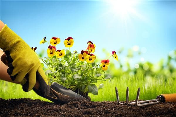 Gardening Tips & Tricks for Spring!